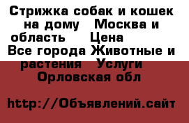 Стрижка собак и кошек на дому.  Москва и область.  › Цена ­ 1 200 - Все города Животные и растения » Услуги   . Орловская обл.